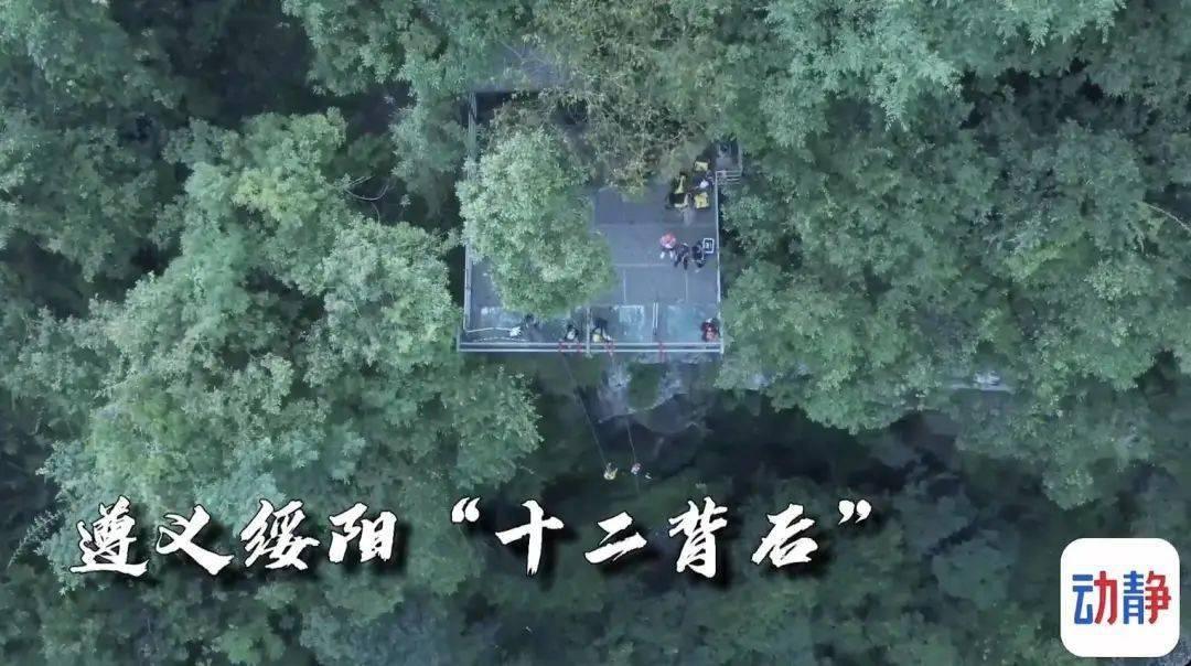 女命伤官合杀化杀旺夫