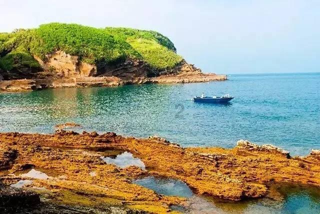 药明生物(02269.HK)获董事长李革增持523.55万股
