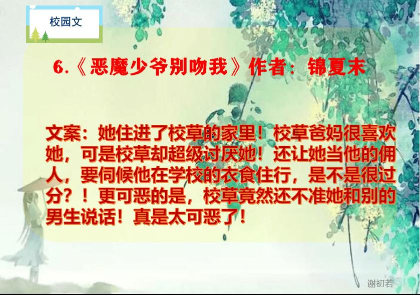 雨后盛放
